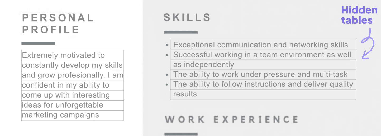 Wrong example CV Format 
